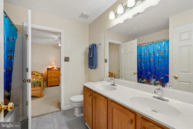 a bathroom with a double vanity sink mirror and toilet