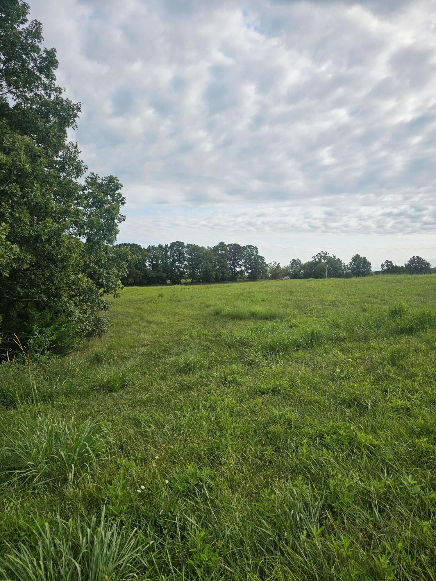 112 County Road East Fayette, MO 65248 - Photo 2 of 3