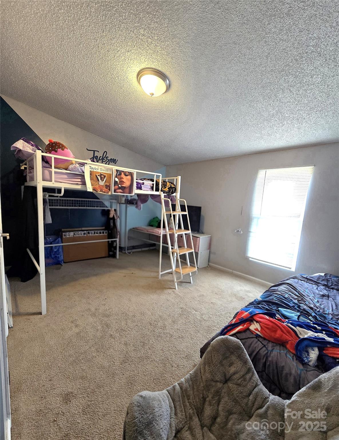 125 Hallman Mill Road Lawndale, NC 28090 - Photo 18 of 20