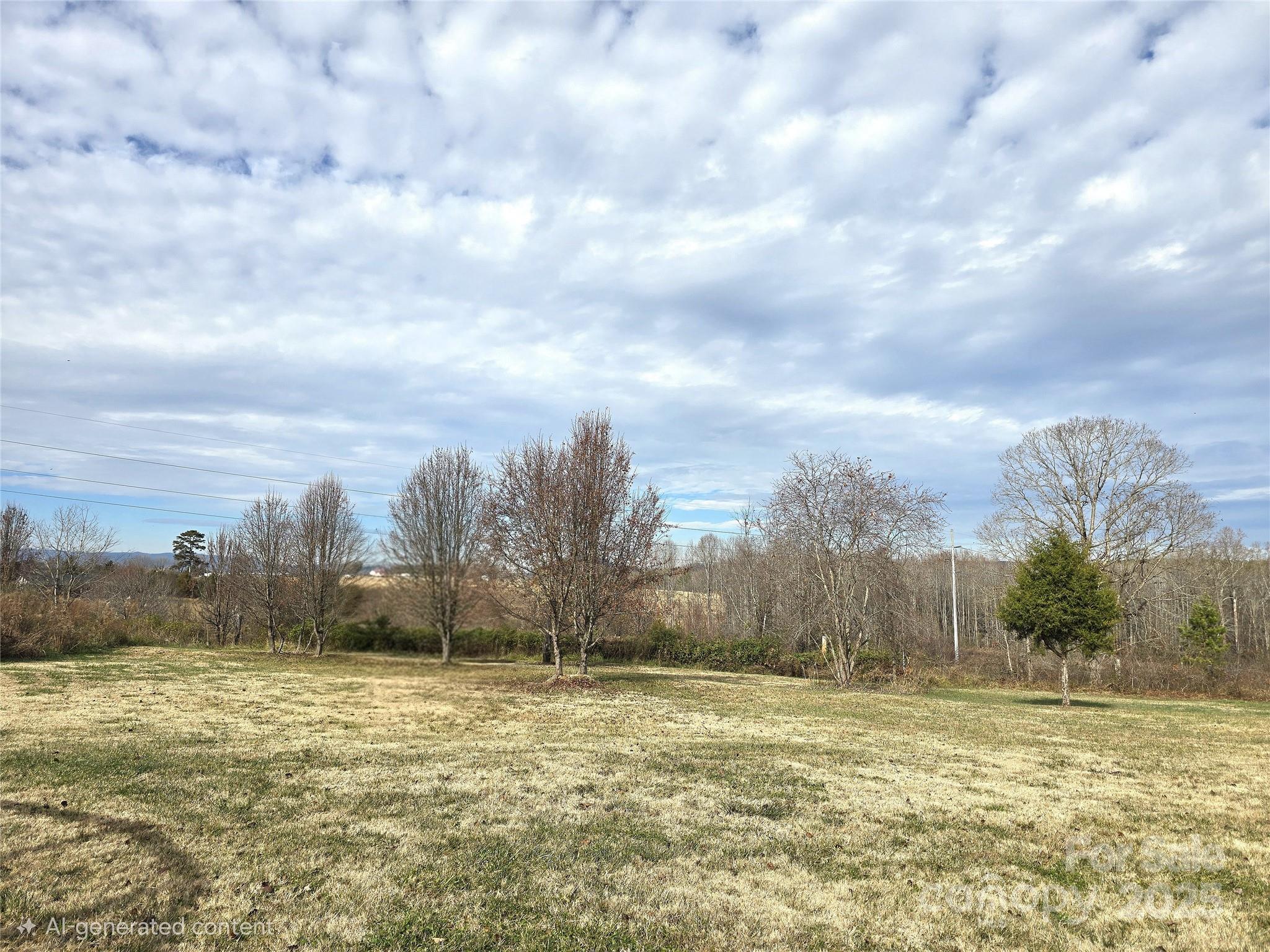 125 Hallman Mill Road Lawndale, NC 28090 - Photo 19 of 20