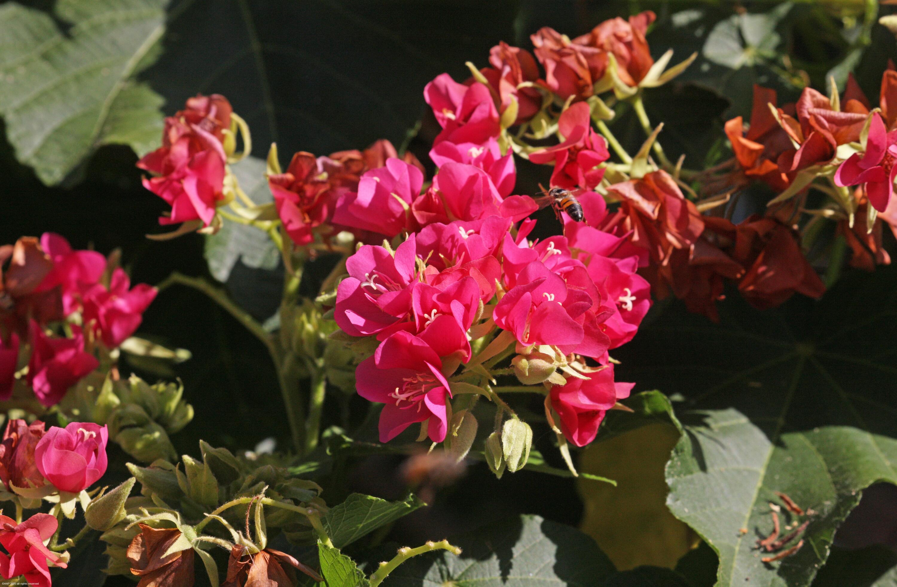 14775 Equestrian Way Wellington, FL 33414 - Photo 111 of 114 14775 Equestrian Way 071b