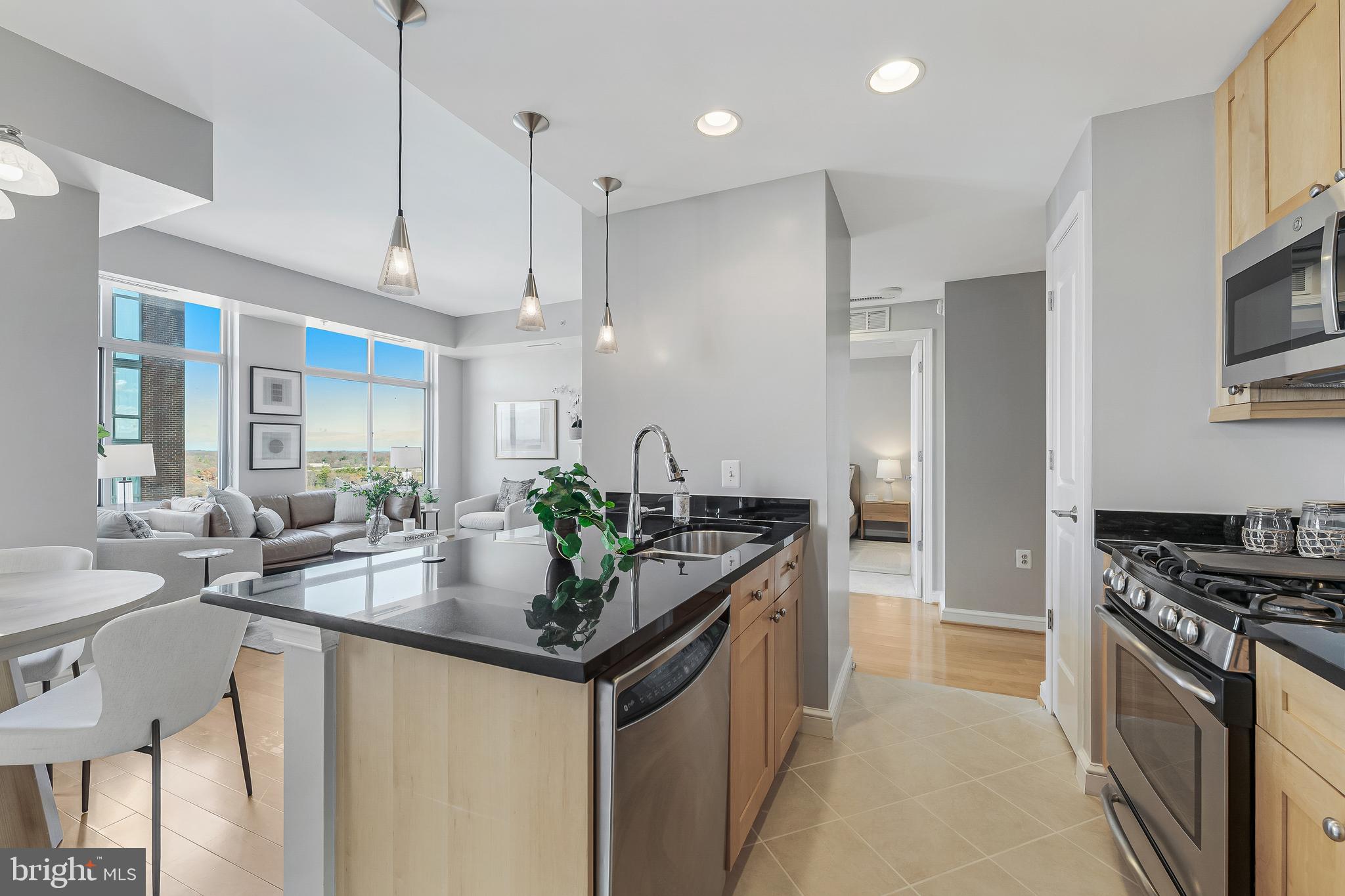 11990 Market Street, Unit 1616 Reston, VA 20190 - Photo 10 of 59