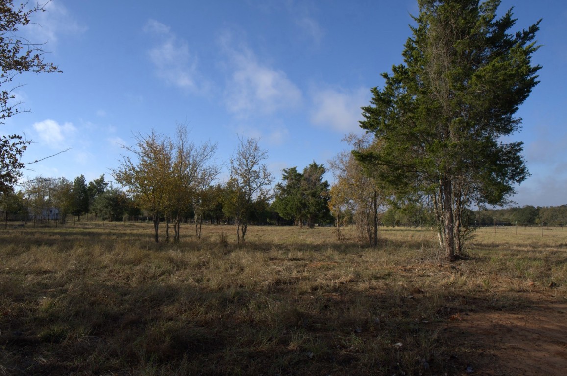 Lot 3 County Line Road Elgin, TX 78621 - Photo 5 of 13 View of local wilderness with rural landscape