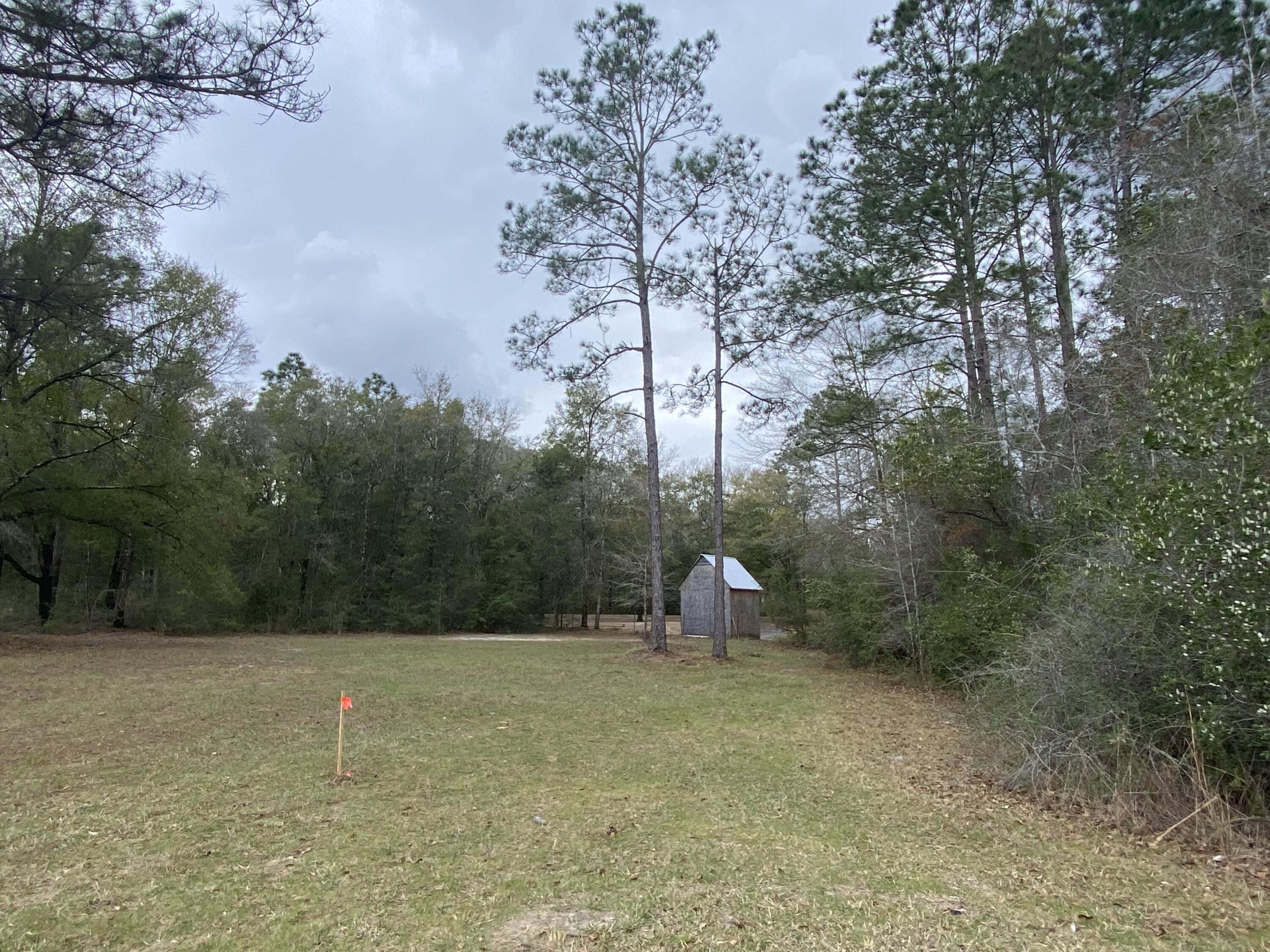 Tbd Gilmore Road Holt, FL 32564 - Photo 2 of 3 IMG_3753