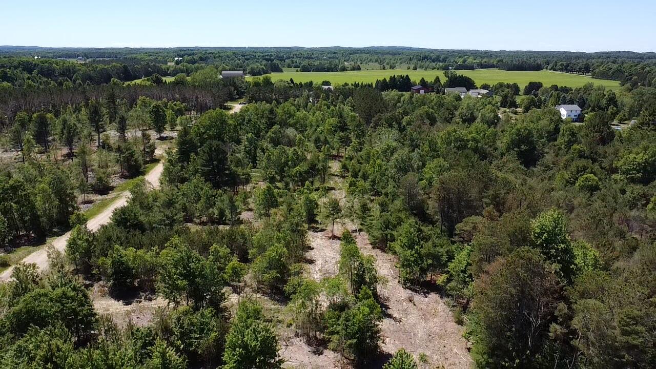 7.91-acres Butwell Road Bear Lake, MI 49614 - Photo 20 of 22 2026-06-22-15-01-32-058