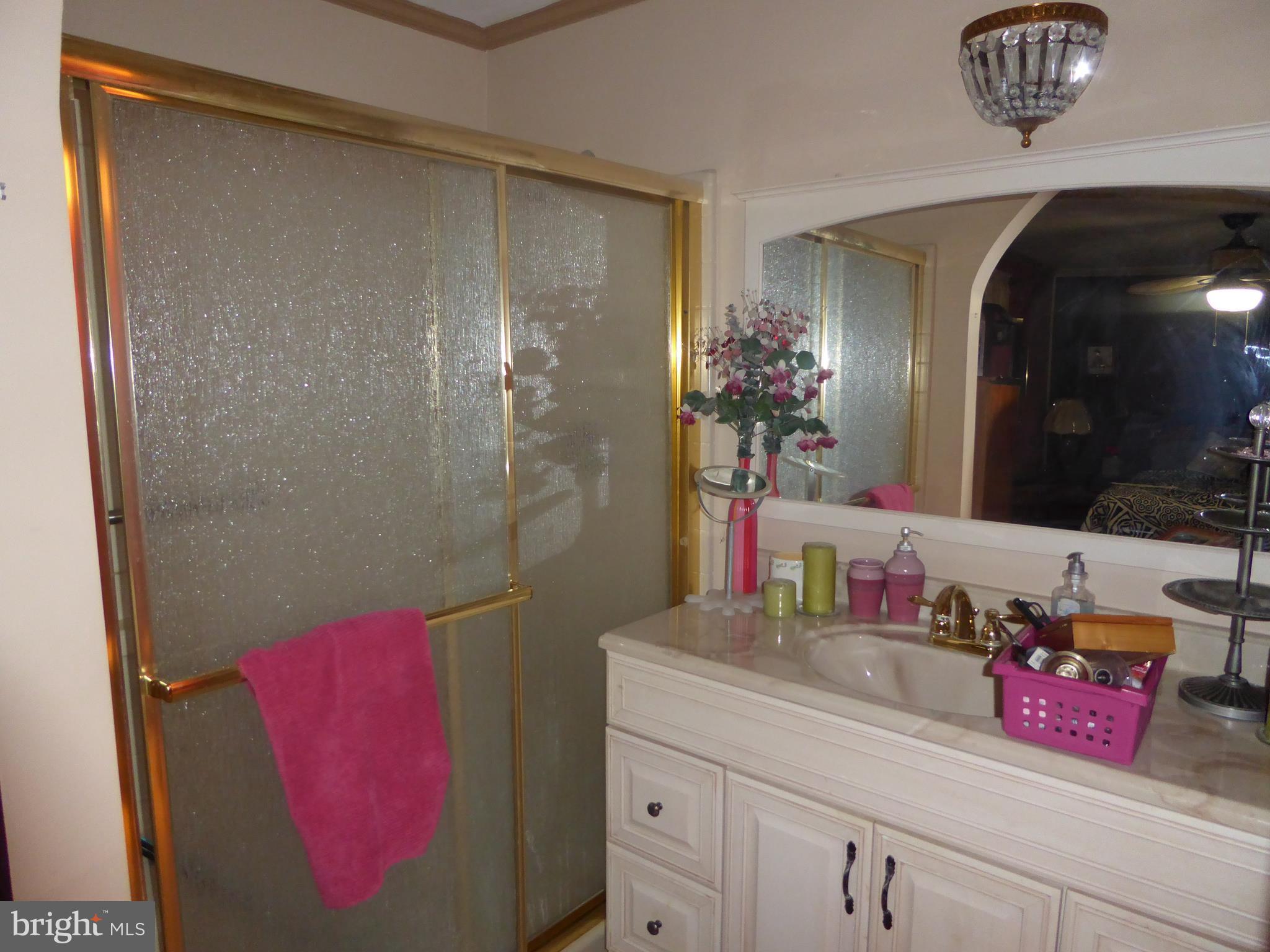 9202 Good Luck Road Lanham, MD 20706 - Photo 11 of 28 Bath (Master)