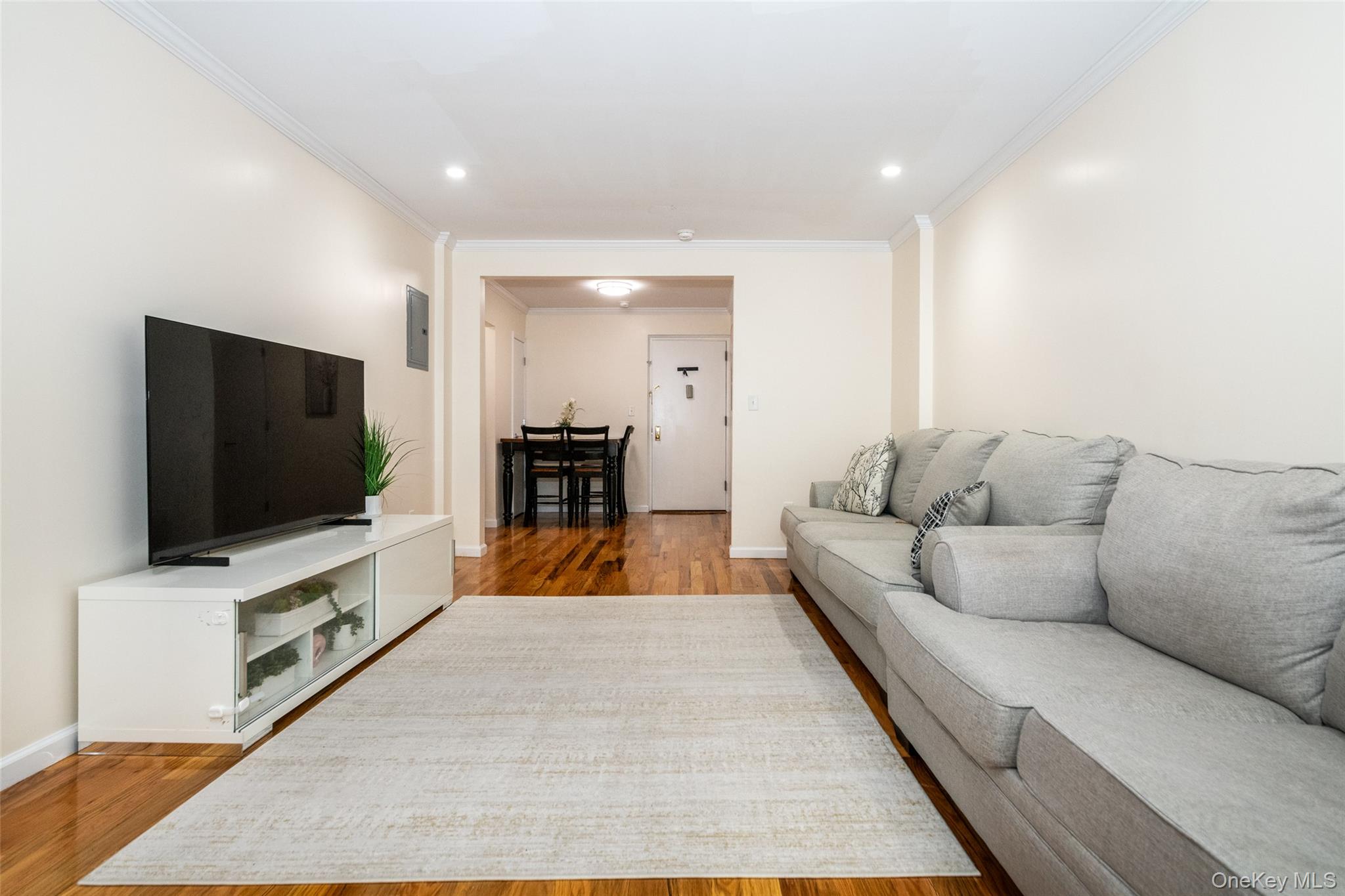 90 Union Street, Unit 1A New Rochelle, NY 10805 - Photo 6 of 28 a living room with furniture and a flat screen tv