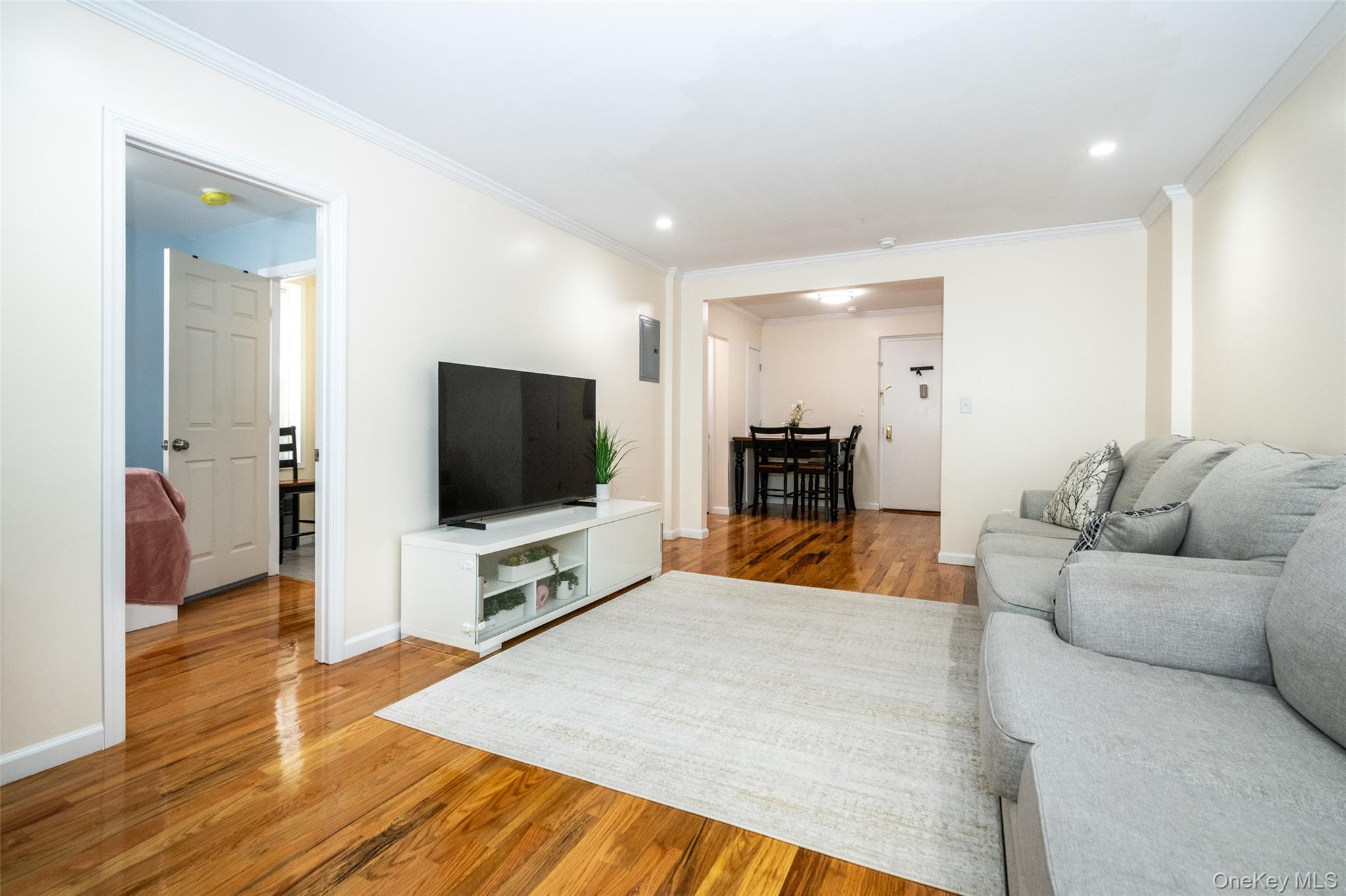 90 Union Street, Unit 1A New Rochelle, NY 10805 - Photo 7 of 28 a living room with furniture and a flat screen tv