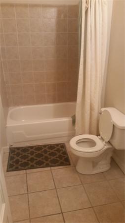 35 Waverly Street, Unit B Boston, MA 02135 - Photo 12 of 13 a bathroom with a toilet and a bathtub