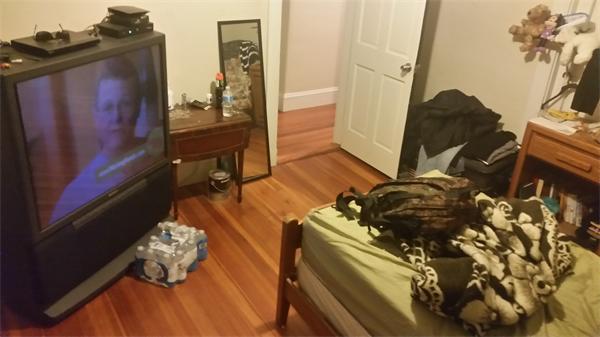 35 Waverly Street, Unit B Boston, MA 02135 - Photo 5 of 13 a bedroom with a bed and a mirror