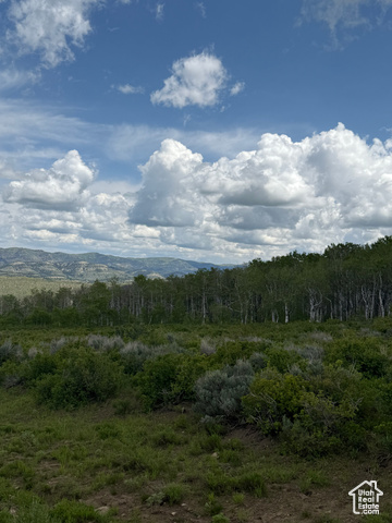 East Alta Drive, Unit D58 Helper, UT 84526 - Photo 8 of 12