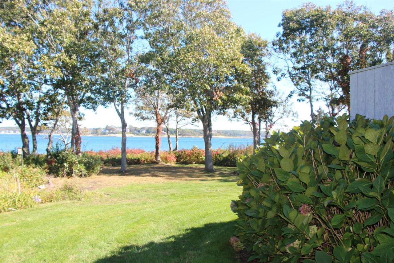 206 Clipper Road Bourne, MA 02532 - Photo 4 of 35 a view of a yard with an outdoor space