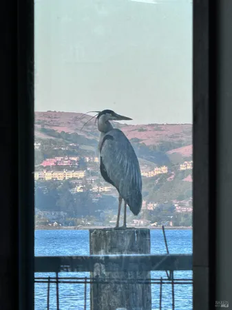 a view of a balcony with chairs and wooden floor