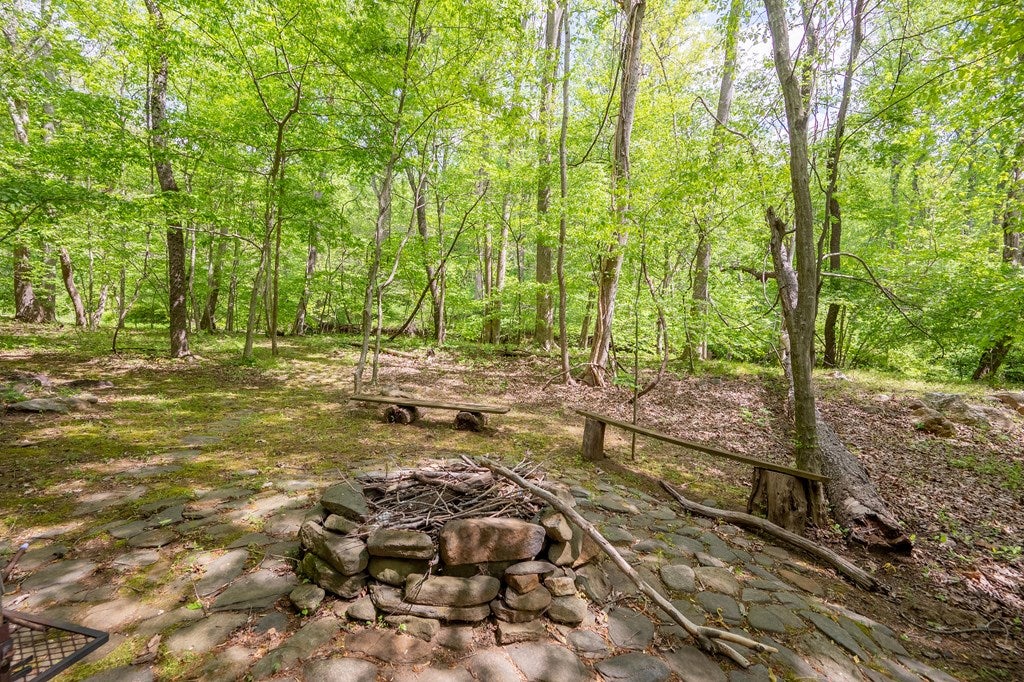 56-acres Runnett Bag Road Ferrum, VA 24088 - Photo 16 of 44 Gallery Image 16