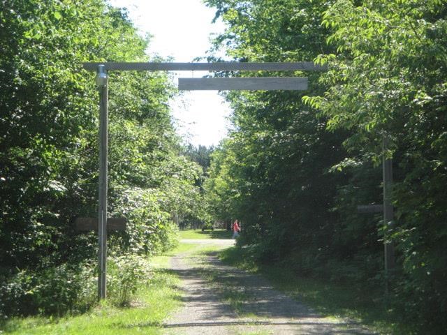 9209 Barnhart Road Mancelona, MI 49659 - Photo 8 of 33 1787288-7.JPG