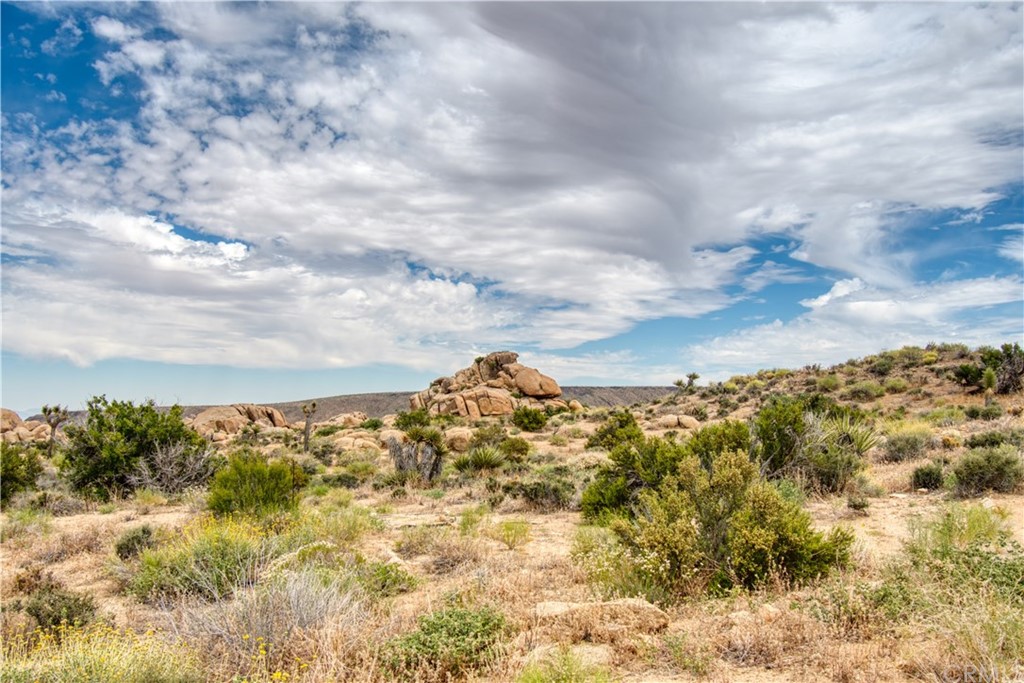 5000 Jack Marr Road Landers, CA 92285 - Photo 1 of 1 Gallery Image 1