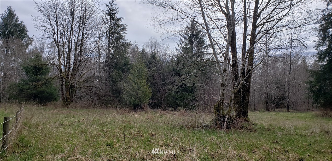 33 West Satsop Bridge Road Elma, WA 98541 - Photo 11 of 21 Gallery Image 11
