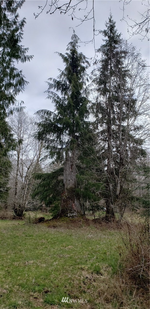 33 West Satsop Bridge Road Elma, WA 98541 - Photo 13 of 21 Gallery Image 13