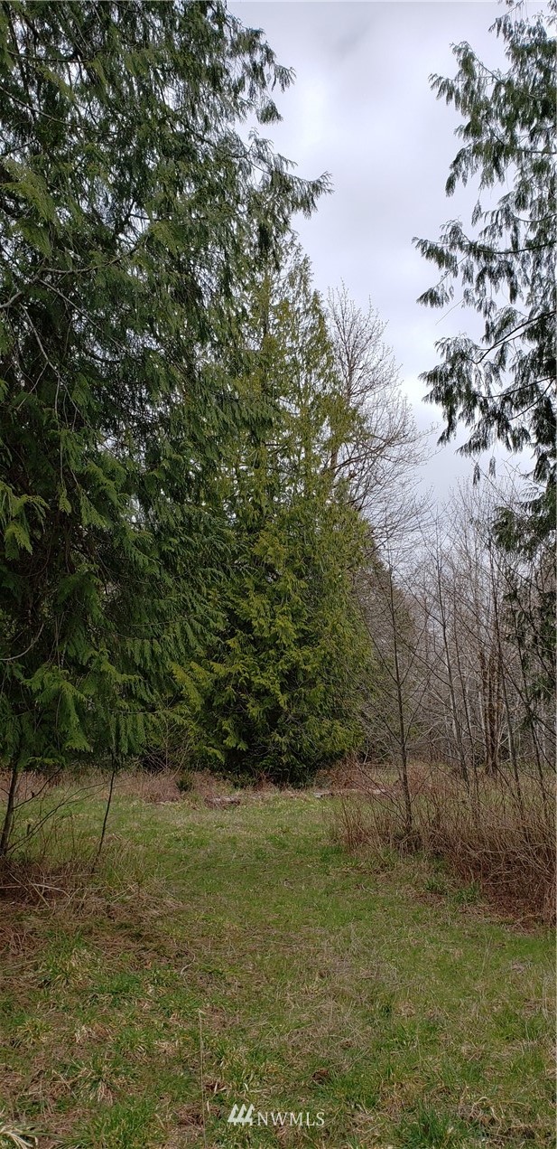 33 West Satsop Bridge Road Elma, WA 98541 - Photo 14 of 21 Gallery Image 14