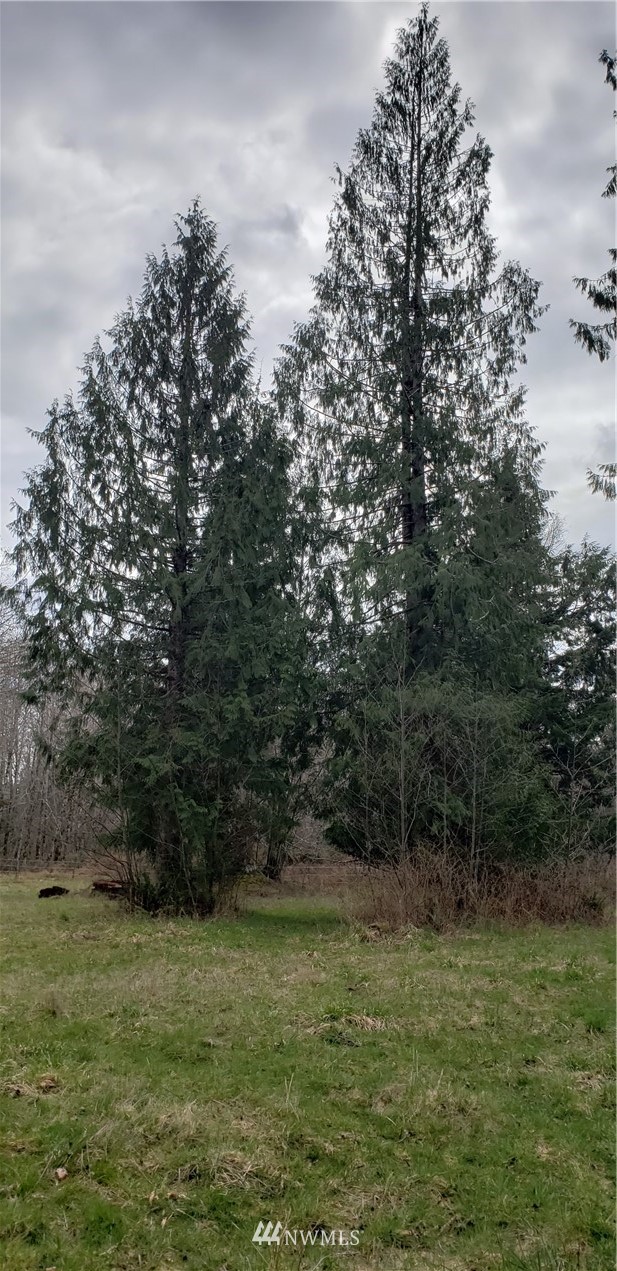 33 West Satsop Bridge Road Elma, WA 98541 - Photo 15 of 21 Gallery Image 15