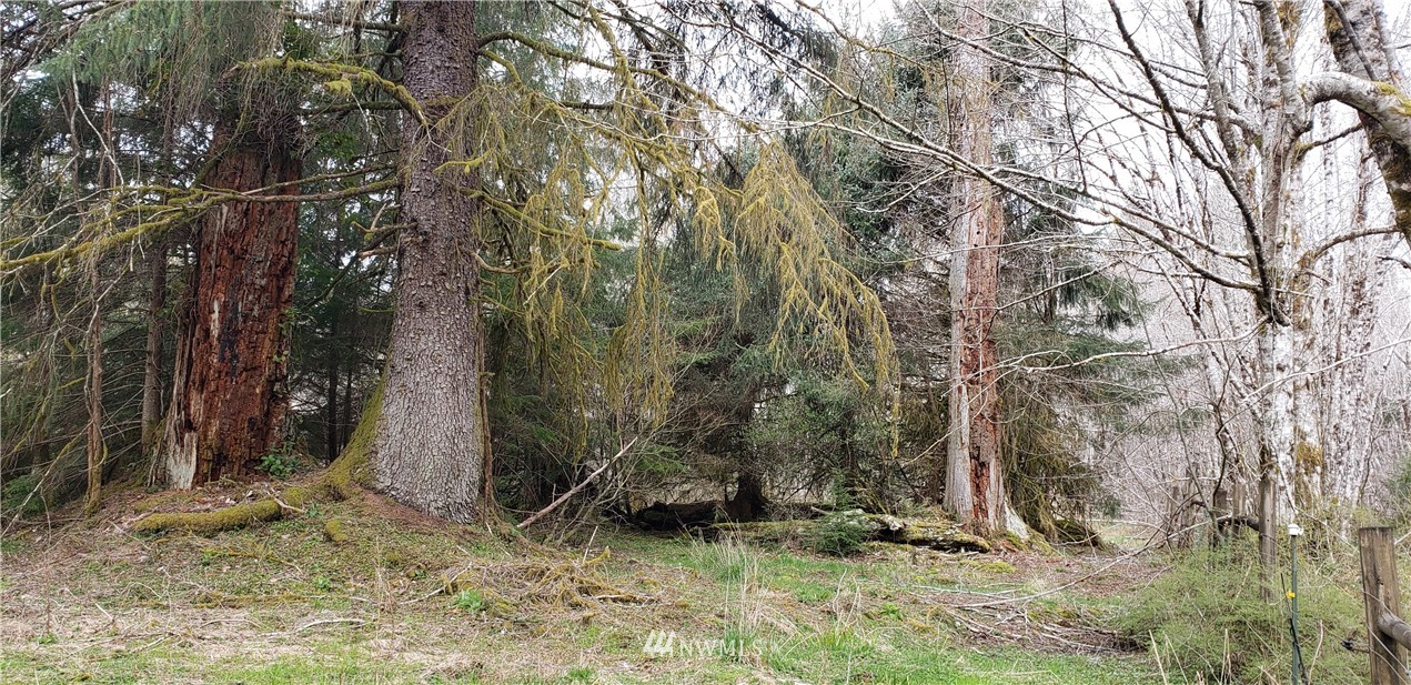 33 West Satsop Bridge Road Elma, WA 98541 - Photo 16 of 21 Gallery Image 16