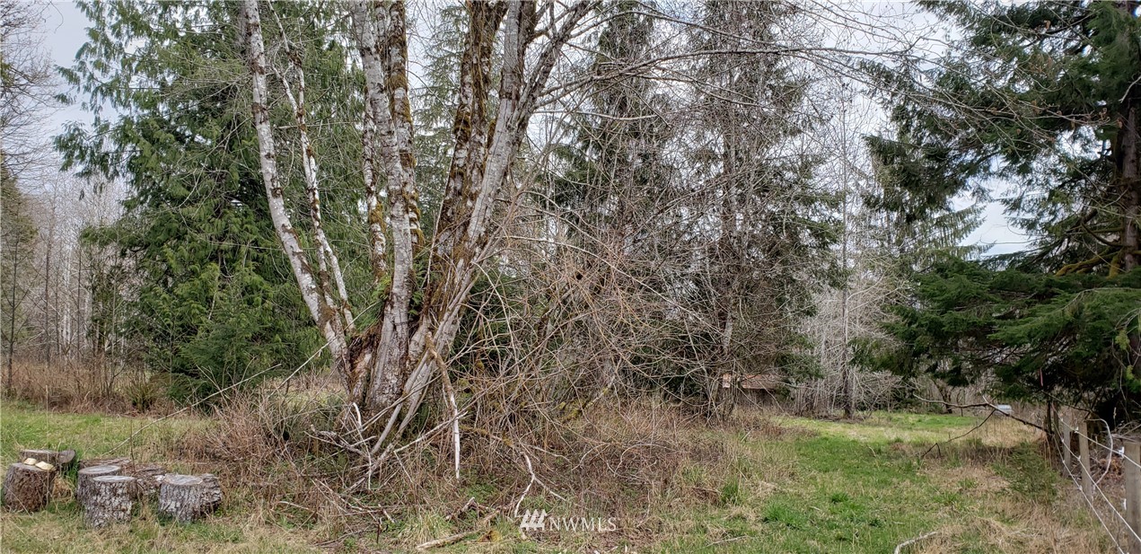 33 West Satsop Bridge Road Elma, WA 98541 - Photo 5 of 21 Gallery Image 5
