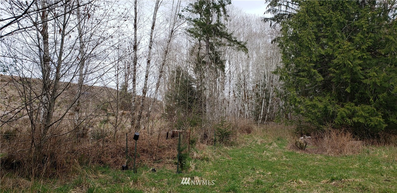 33 West Satsop Bridge Road Elma, WA 98541 - Photo 6 of 21 Gallery Image 6