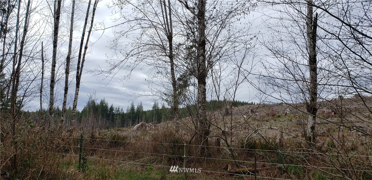 33 West Satsop Bridge Road Elma, WA 98541 - Photo 7 of 21 Gallery Image 7