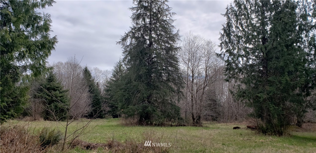 33 West Satsop Bridge Road Elma, WA 98541 - Photo 9 of 21 Gallery Image 9
