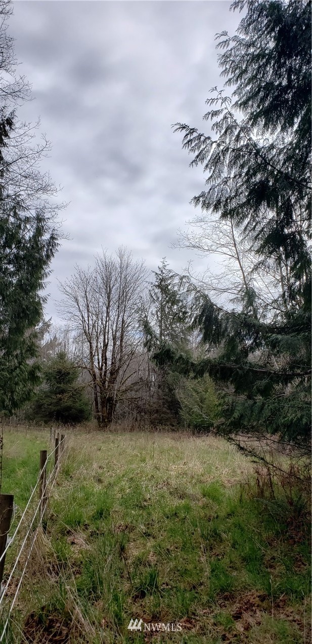 33 West Satsop Bridge Road Elma, WA 98541 - Photo 10 of 21 Gallery Image 10