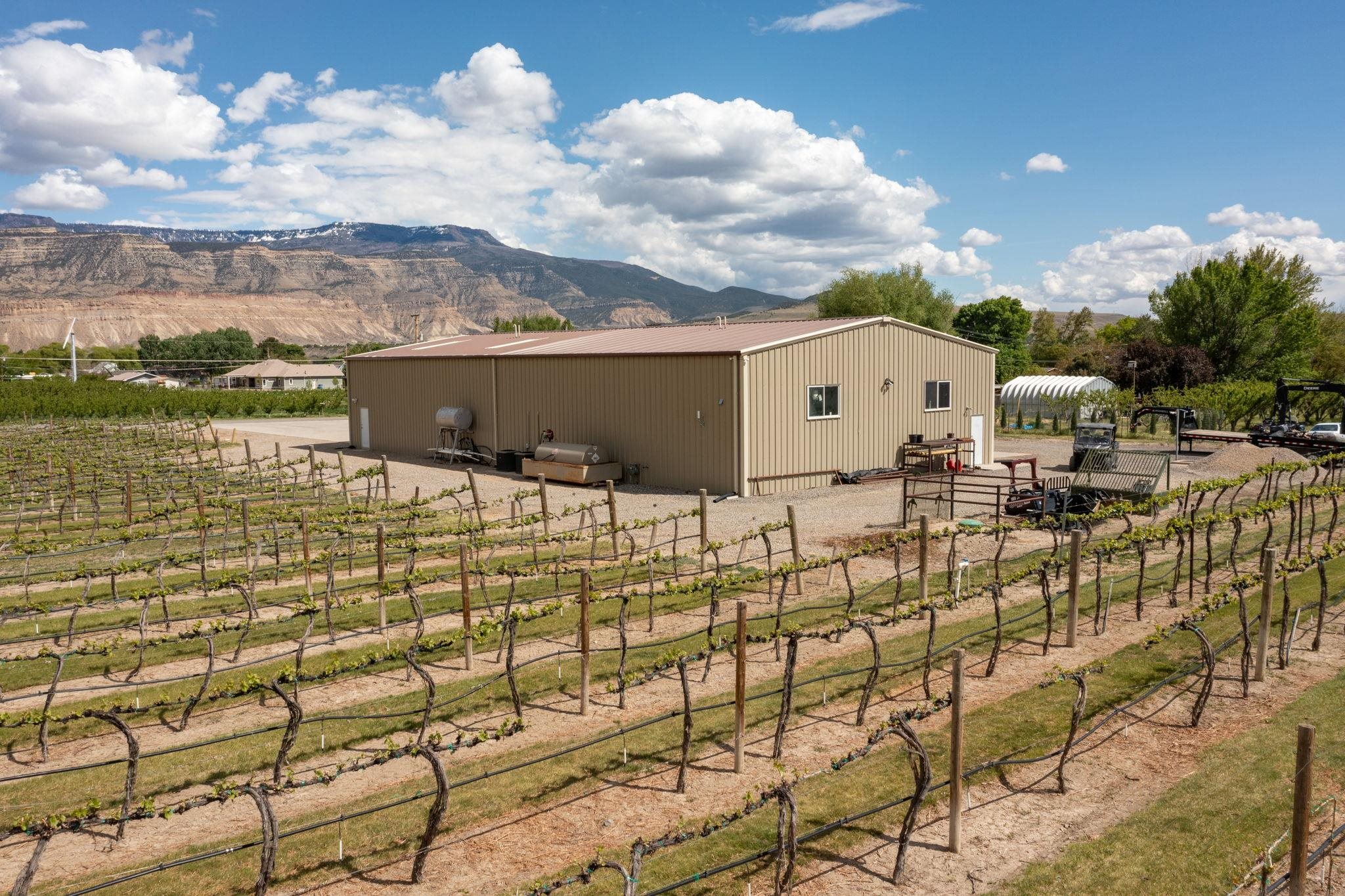 759-36 36 3/10 Road Palisade, CO 81526 - Photo 3 of 42