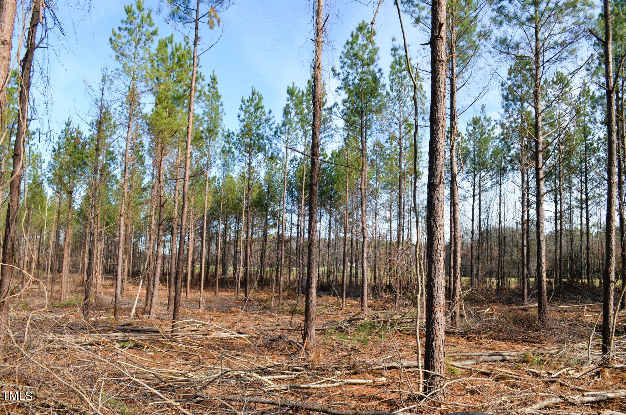2449 Mollie Mooney Road Roxboro, NC 27574 - Photo 3 of 13 Mollie Mooney Tract 6 Pic1