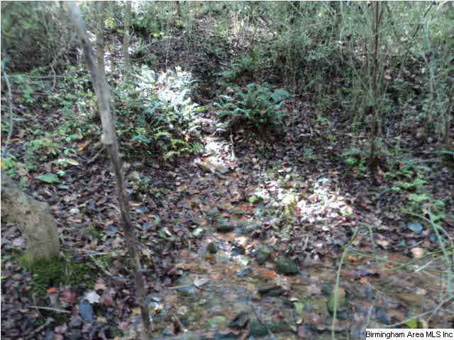 Blakes Ferry Road, Unit 77 Lineville, AL 36266 - Photo 18 of 18 Gallery Image 18