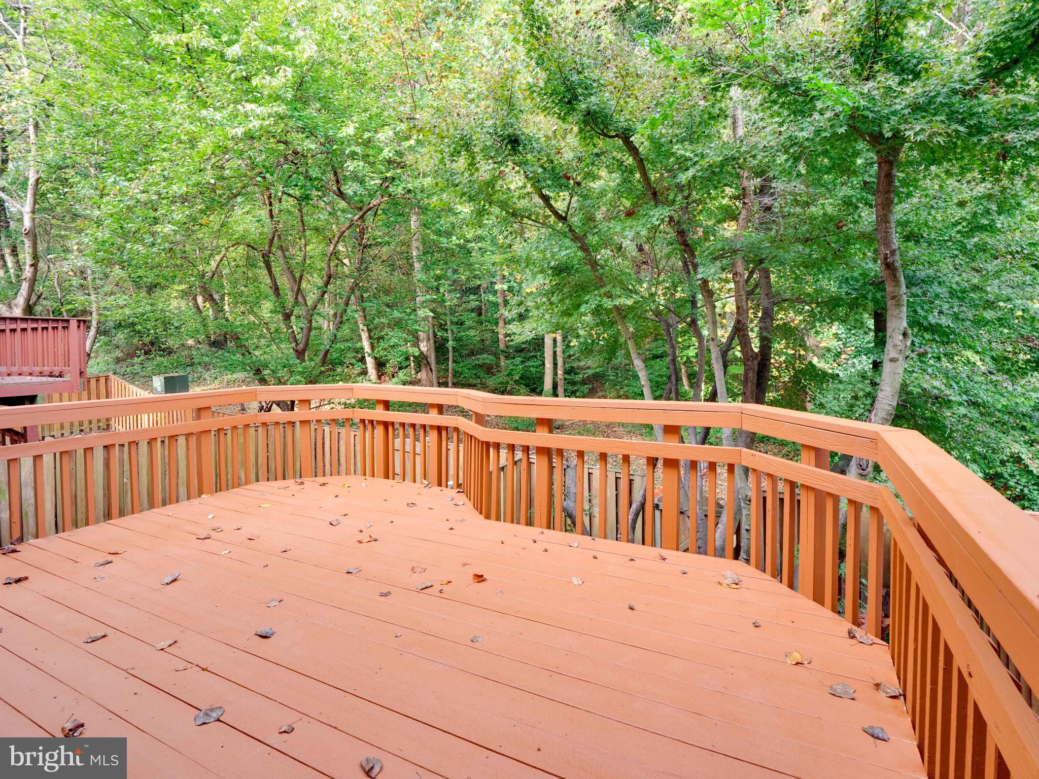 9002 Mulvaney Court Springfield, VA 22152 - Photo 15 of 44 New deck - backs to woods