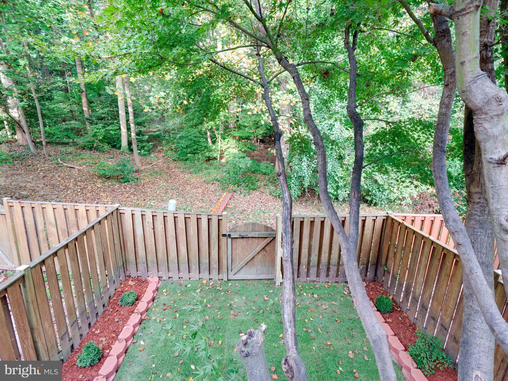 9002 Mulvaney Court Springfield, VA 22152 - Photo 32 of 44 View from upper deck - backing to mature trees
