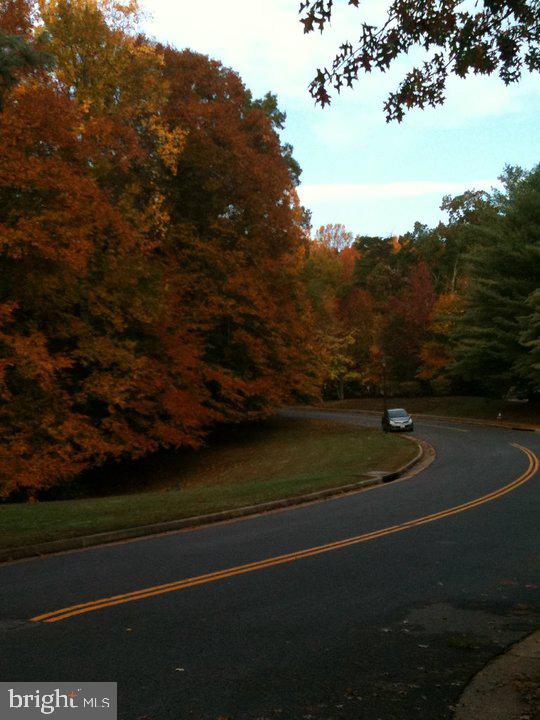 9002 Mulvaney Court Springfield, VA 22152 - Photo 39 of 44 Beautiful fall colors