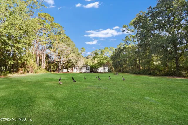 a view of field with trees in the background