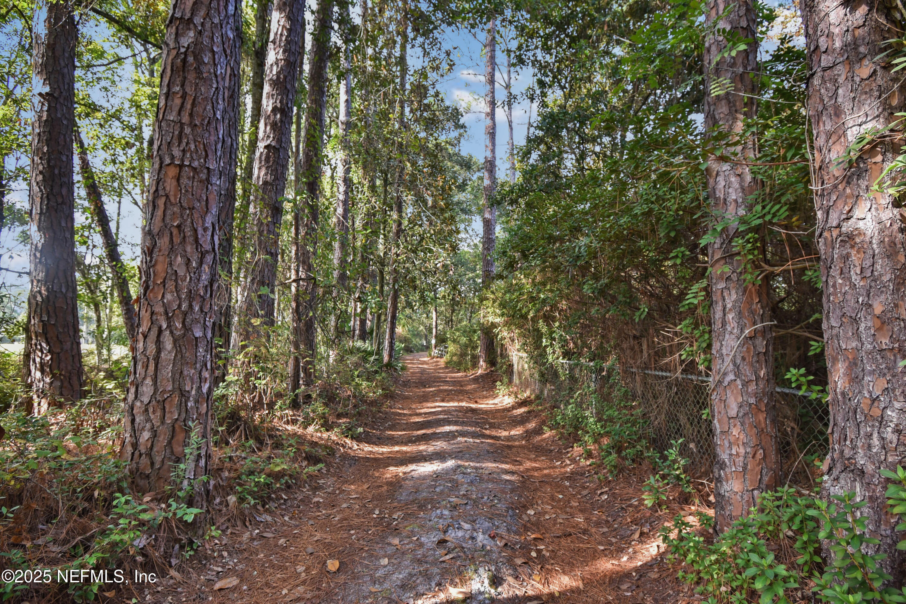 11595 Normandy Boulevard Jacksonville, FL 32221 - Photo 11 of 13 a view of outdoor space and trees
