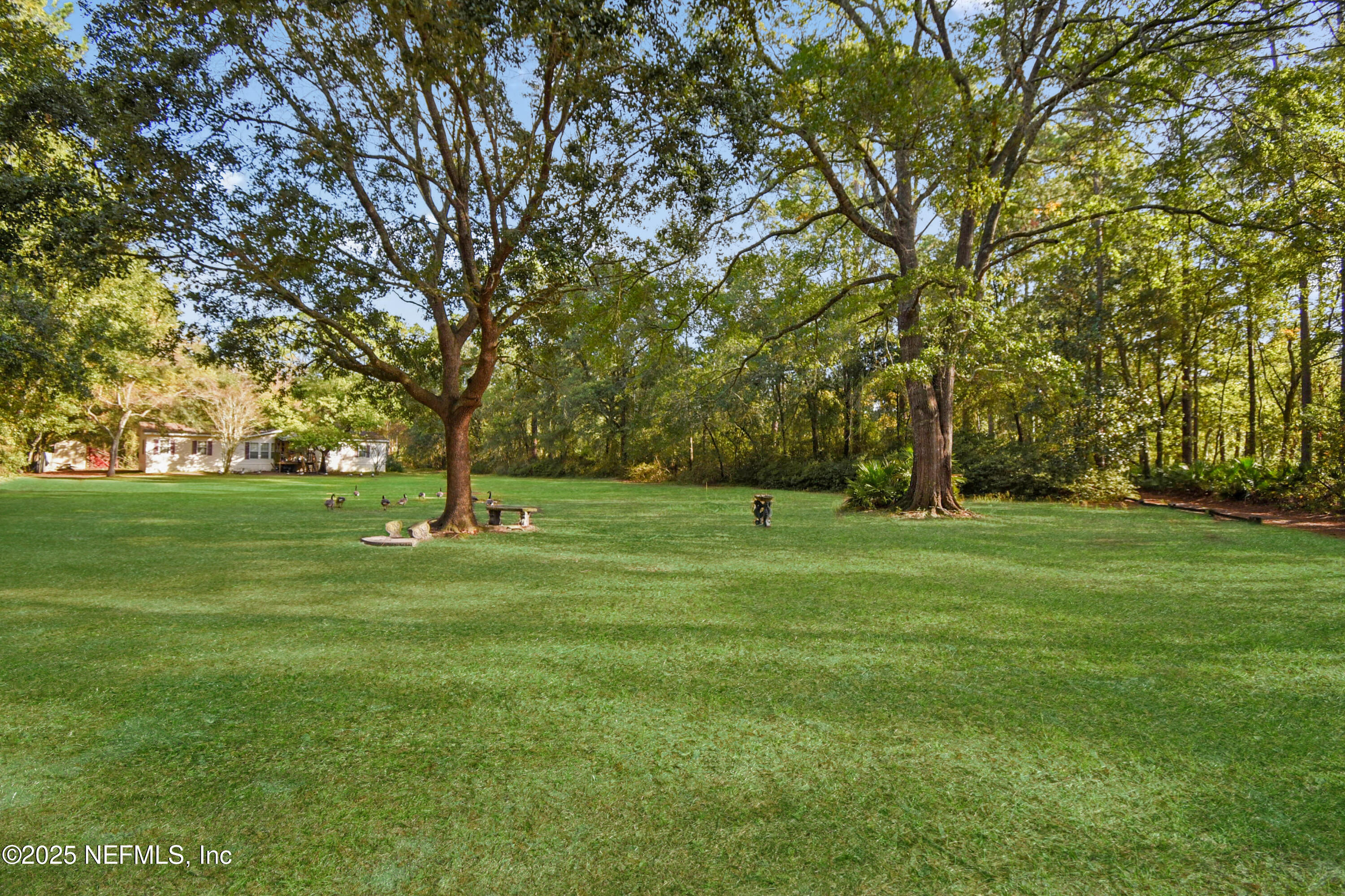 11595 Normandy Boulevard Jacksonville, FL 32221 - Photo 3 of 13