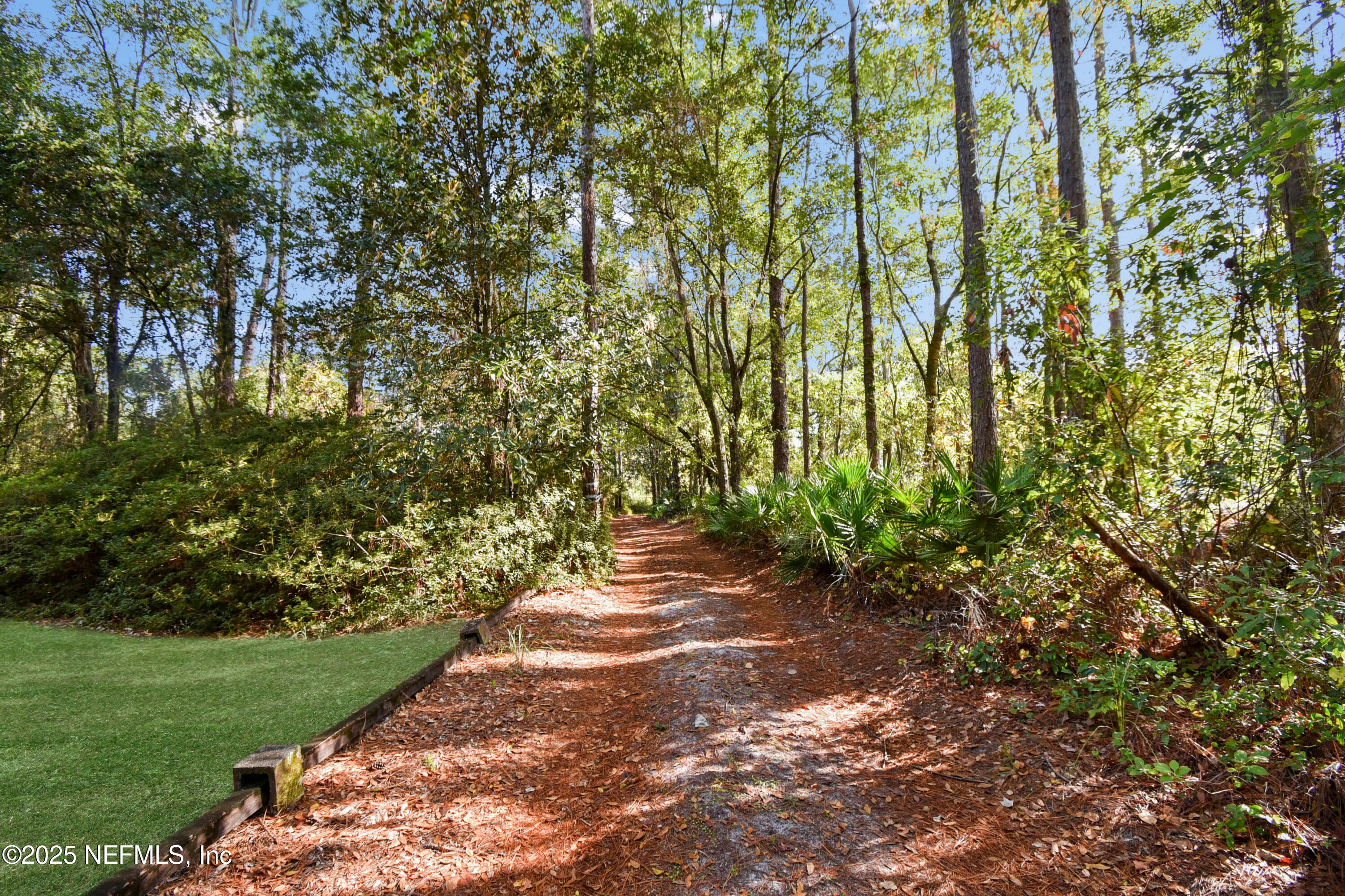 11595 Normandy Boulevard Jacksonville, FL 32221 - Photo 5 of 13 a view of a yard with plants and large trees