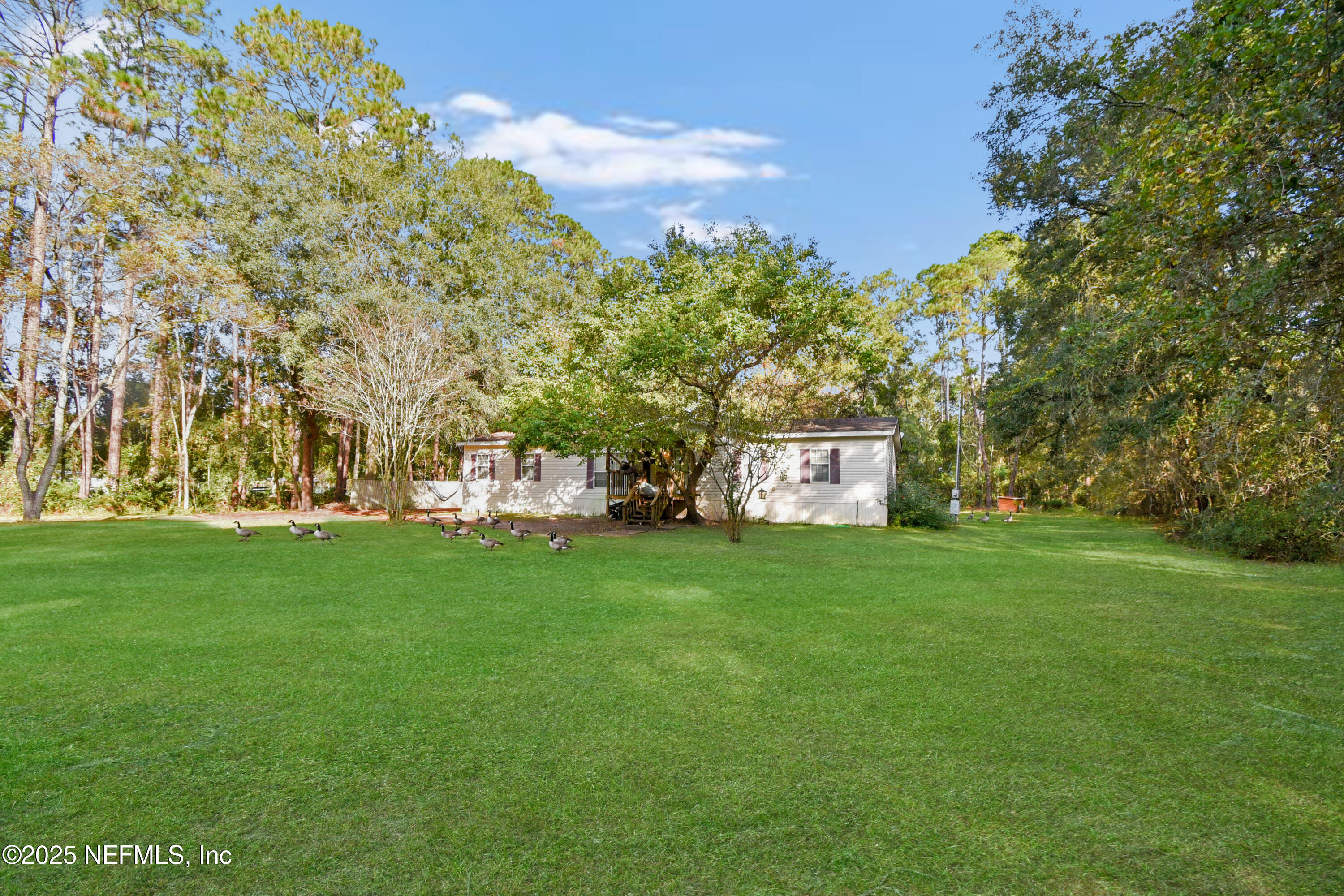 11595 Normandy Boulevard Jacksonville, FL 32221 - Photo 7 of 13 a view of a park with a bench and trees
