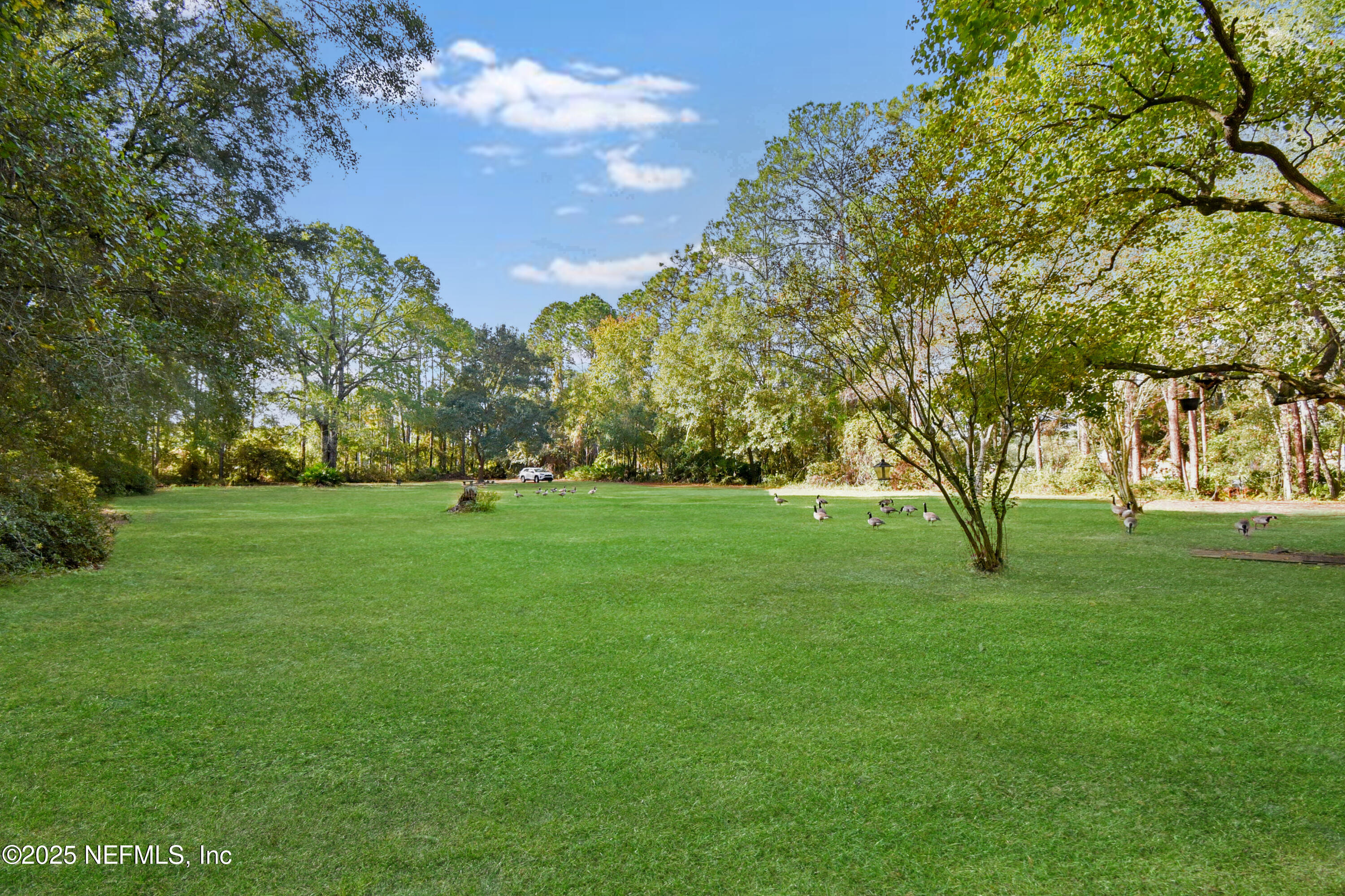 11595 Normandy Boulevard Jacksonville, FL 32221 - Photo 8 of 13 a yard with lots of green space and trees