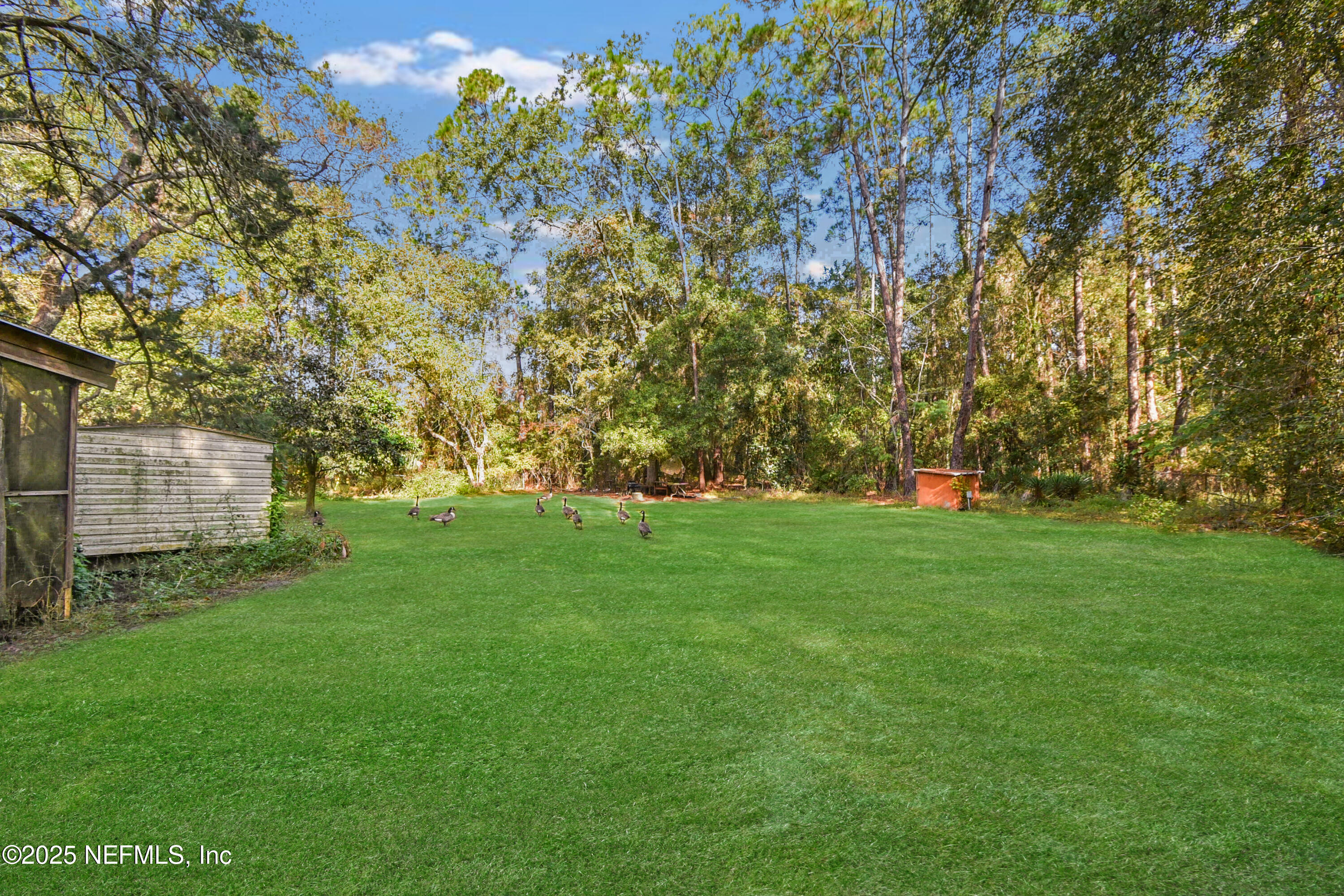 11595 Normandy Boulevard Jacksonville, FL 32221 - Photo 9 of 13 a garden view