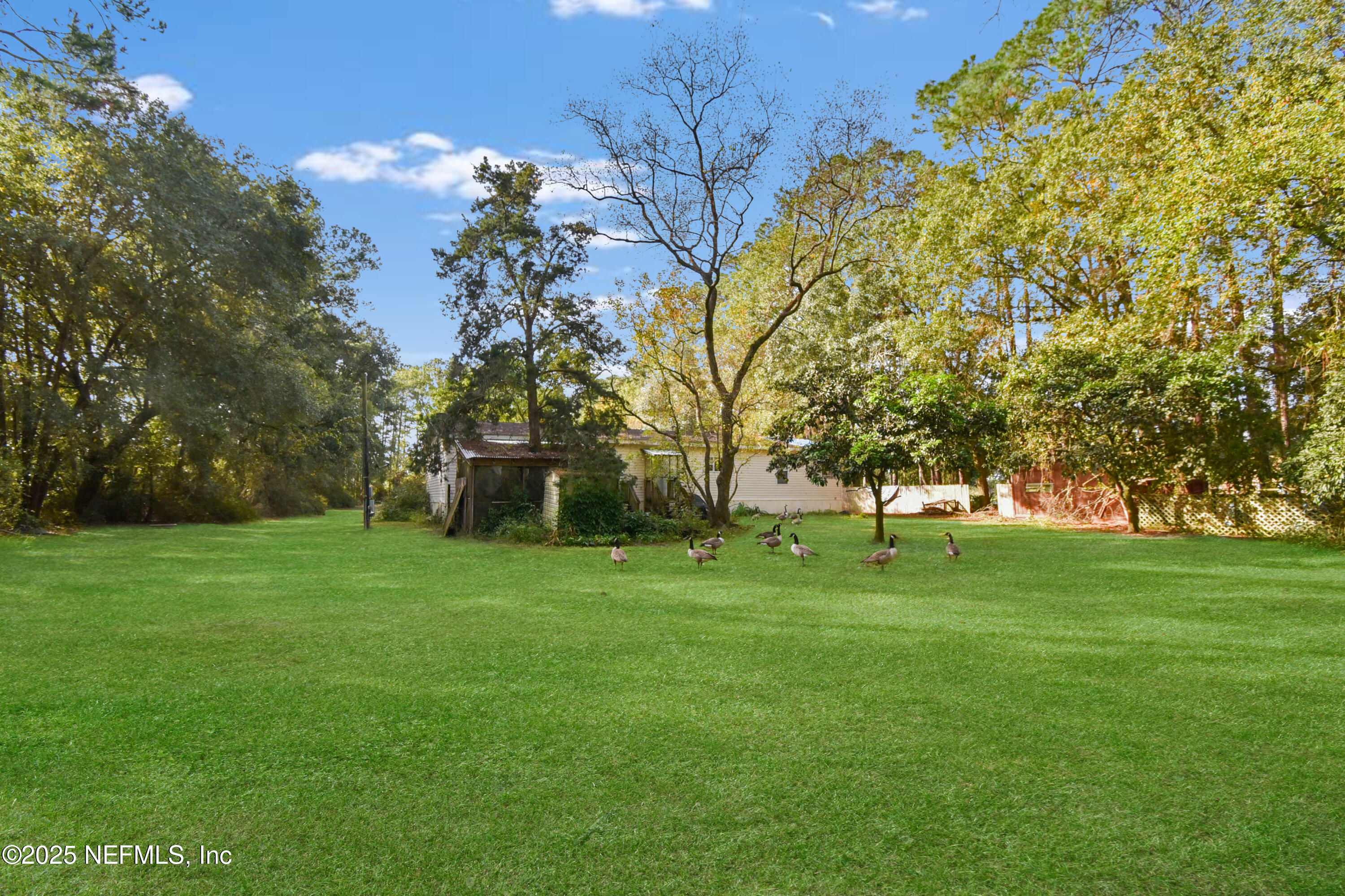 11595 Normandy Boulevard Jacksonville, FL 32221 - Photo 10 of 13 a big yard with lots of green space and trees