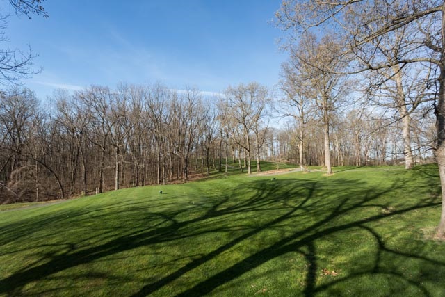 3731 Davis Road Penn Laird, VA 22846 - Photo 44 of 49 a yard with trees in the background