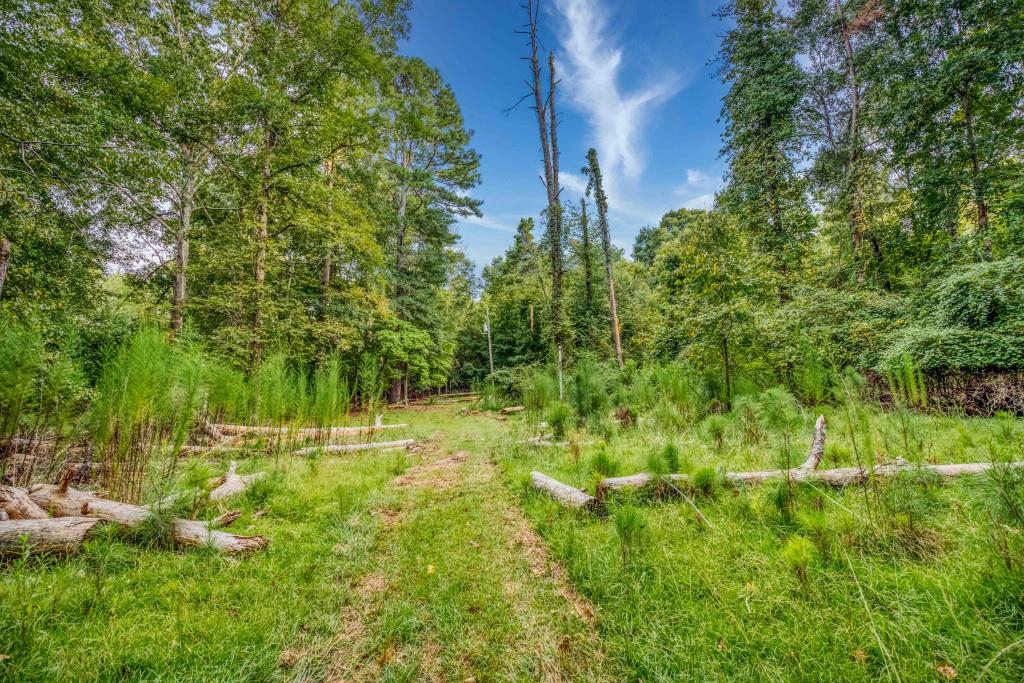 2045 Cleveland Road Bogart, GA 30622 - Photo 7 of 12 Gallery Image 7