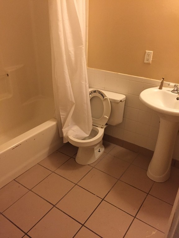 25 Alpine Street, Unit 1 Boston, MA 02136 - Photo 8 of 9 a bathroom with a toilet and a sink