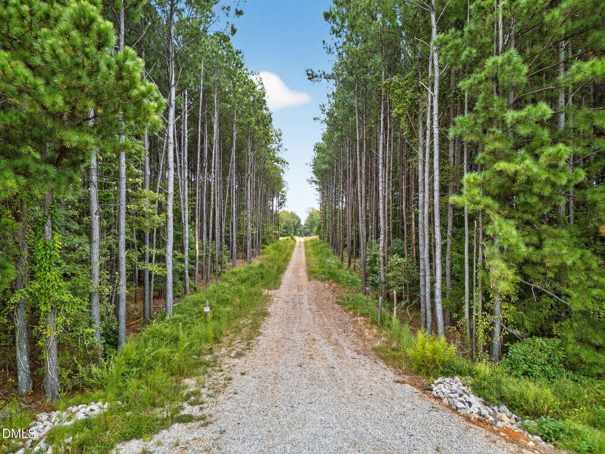 a view of a pathway of a park