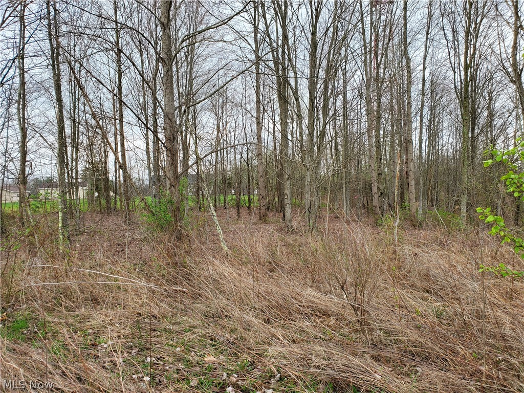 52405 Tower Road Cumberland, OH 43732 - Photo 12 of 15 Gallery Image 12