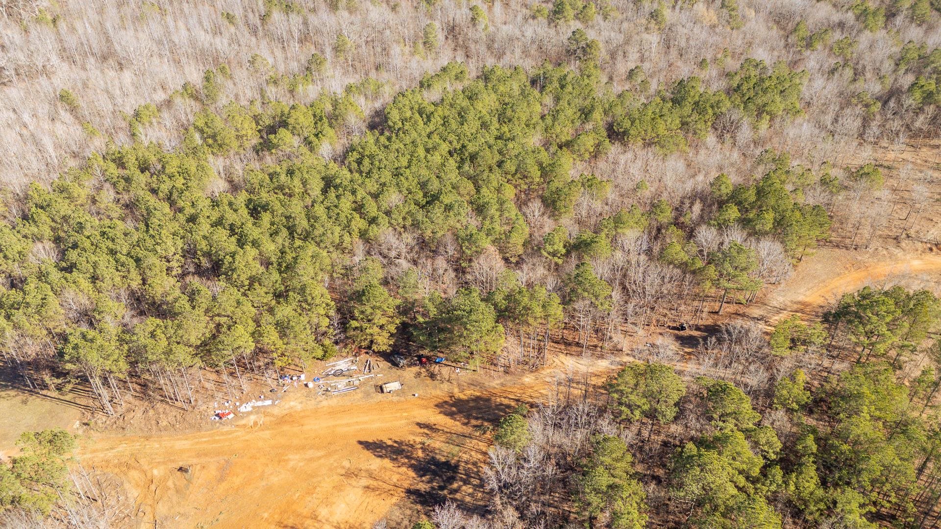 0 Kendrick & Hamburg Road Michie, TN 38357 - Photo 13 of 38 a view of a yard of trees